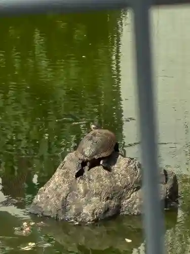 諏訪神社(大阪府)