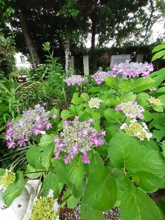 源九郎稲荷神社(奈良県)