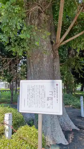 深見神社の自然