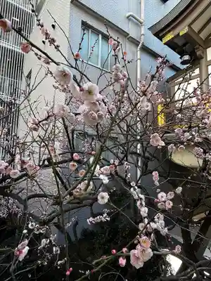 湯島天満宮(東京都)