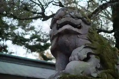 大國魂神社の{uncategorized: "未分類", other: "その他", undefined: "問題あり", building: "その他建物", grave: "お墓", sacred_gate: "鳥居", guardian: "狛犬", statue: "像", buddha: "仏像", history: "歴史", nature: "自然", garden: "庭園", animal: "動物", pagoda: "塔", temizu: "手水舎", mountain_gate: "山門・神門", sanctuary: "本殿・本堂", subordinate: "末社・摂社", art: "芸術", scenery: "景色", jizo: "地蔵", ema: "絵馬", goshuin: "御朱印", omikuji: "おみくじ", items: "授与品その他", amulet: "お守り", goshuincho: "御朱印帳", eats: "食事", festival: "お祭り", votive_dance: "神楽", shichigosan: "七五三参", wedding: "結婚式", experience: "体験その他", initially: "初詣", around: "周辺", anti_infection: "感染症対策"}