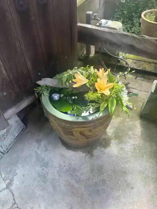 浅野川神社(石川県)