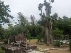 法雲寺(神奈川県)