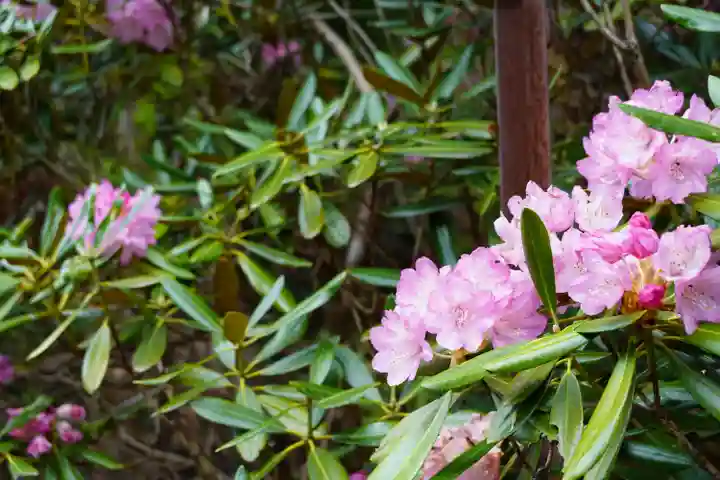 金刀比羅神社(奈良県)