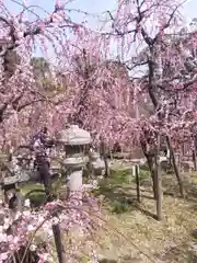 防府天満宮の自然