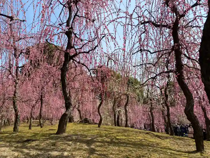城南宮(京都府)