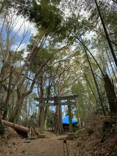 稲荷神社の鳥居