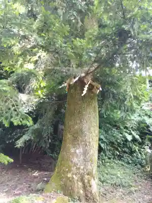 明神社(福井県)