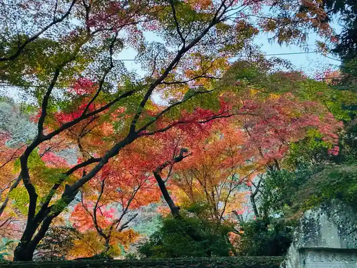 瑞巌寺(徳島県)