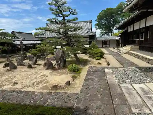 興聖寺（興聖寶林禅寺）の{uncategorized: "未分類", other: "その他", undefined: "問題あり", building: "その他建物", grave: "お墓", sacred_gate: "鳥居", guardian: "狛犬", statue: "像", buddha: "仏像", history: "歴史", nature: "自然", garden: "庭園", animal: "動物", pagoda: "塔", temizu: "手水舎", mountain_gate: "山門・神門", sanctuary: "本殿・本堂", subordinate: "末社・摂社", art: "芸術", scenery: "景色", jizo: "地蔵", ema: "絵馬", goshuin: "御朱印", omikuji: "おみくじ", items: "授与品その他", amulet: "お守り", goshuincho: "御朱印帳", eats: "食事", festival: "お祭り", votive_dance: "神楽", shichigosan: "七五三参", wedding: "結婚式", experience: "体験その他", initially: "初詣", around: "周辺", anti_infection: "感染症対策"}