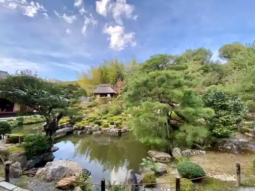 等持院の庭園