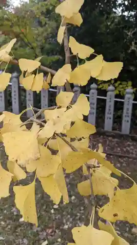 犬山寂光院の自然
