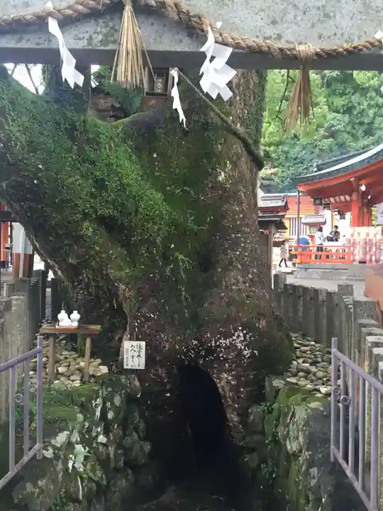 熊野那智大社の自然