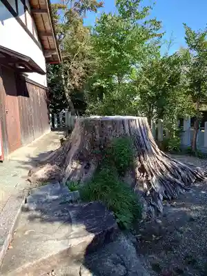 清水神社(滋賀県)