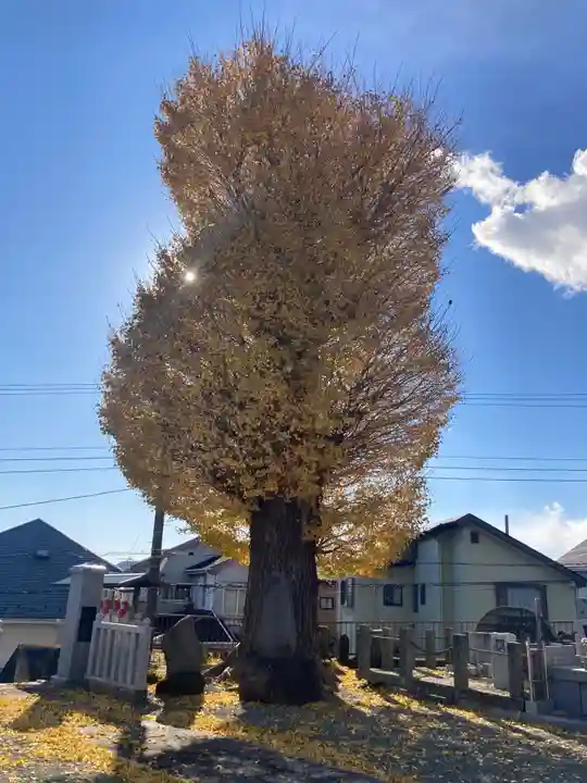 円徳寺(神奈川県)
