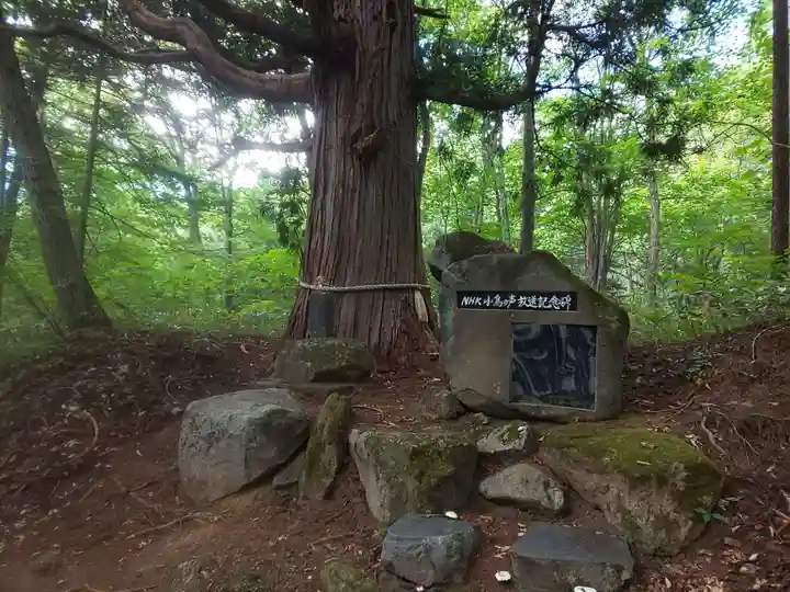 戸隠神社火之御子社の自然