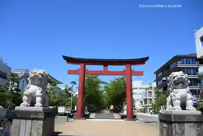 鶴岡八幡宮(神奈川県)