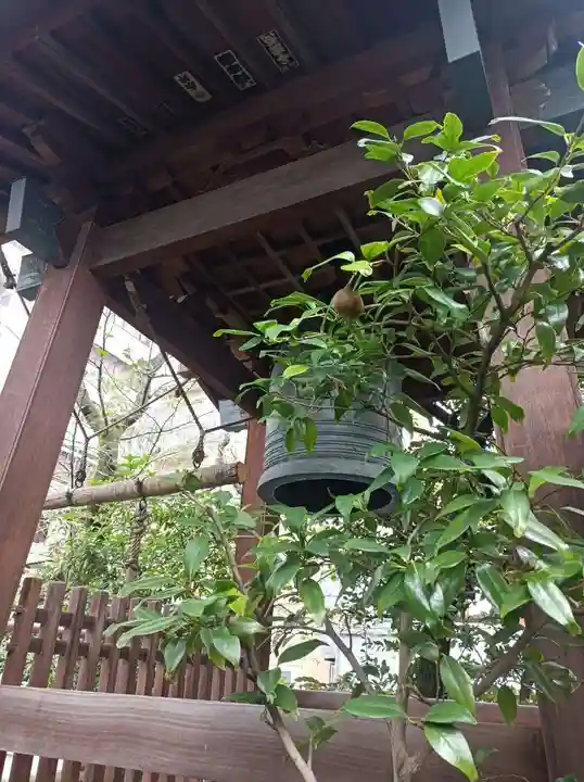 源覚寺(東京都)