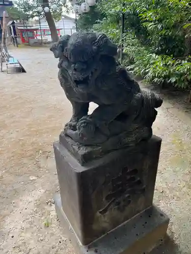 富岡八幡宮の狛犬