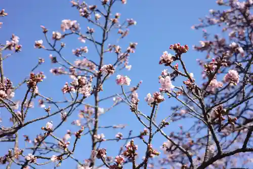西新井大師総持寺の自然