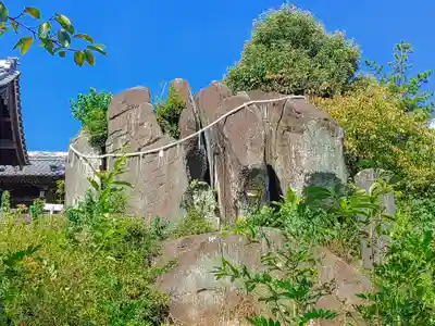 熊野社（岩崎熊野神社）の自然