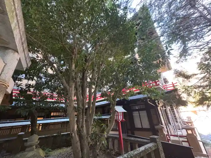 熊野神社の{uncategorized: "未分類", other: "その他", undefined: "問題あり", building: "その他建物", grave: "お墓", sacred_gate: "鳥居", guardian: "狛犬", statue: "像", buddha: "仏像", history: "歴史", nature: "自然", garden: "庭園", animal: "動物", pagoda: "塔", temizu: "手水舎", mountain_gate: "山門・神門", sanctuary: "本殿・本堂", subordinate: "末社・摂社", art: "芸術", scenery: "景色", jizo: "地蔵", ema: "絵馬", goshuin: "御朱印", omikuji: "おみくじ", items: "授与品その他", amulet: "お守り", goshuincho: "御朱印帳", eats: "食事", festival: "お祭り", votive_dance: "神楽", shichigosan: "七五三参", wedding: "結婚式", experience: "体験その他", initially: "初詣", around: "周辺", anti_infection: "感染症対策"}