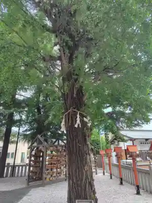 草加神社(埼玉県)