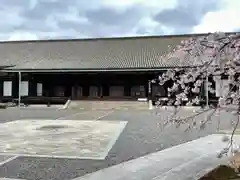 蓮華王院（三十三間堂）(京都府)