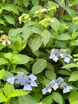 霊源院(京都府)
