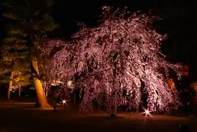 平安神宮(京都府)