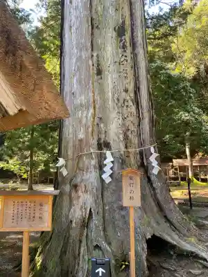 元伊勢内宮 皇大神社の{uncategorized: "未分類", other: "その他", undefined: "問題あり", building: "その他建物", grave: "お墓", sacred_gate: "鳥居", guardian: "狛犬", statue: "像", buddha: "仏像", history: "歴史", nature: "自然", garden: "庭園", animal: "動物", pagoda: "塔", temizu: "手水舎", mountain_gate: "山門・神門", sanctuary: "本殿・本堂", subordinate: "末社・摂社", art: "芸術", scenery: "景色", jizo: "地蔵", ema: "絵馬", goshuin: "御朱印", omikuji: "おみくじ", items: "授与品その他", amulet: "お守り", goshuincho: "御朱印帳", eats: "食事", festival: "お祭り", votive_dance: "神楽", shichigosan: "七五三参", wedding: "結婚式", experience: "体験その他", initially: "初詣", around: "周辺", anti_infection: "感染症対策"}