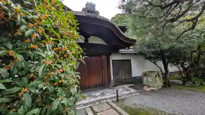 大心院(京都府)