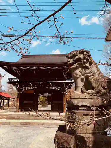 御崎神社の狛犬