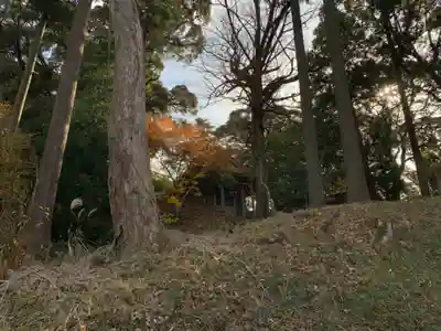 熊野神社の自然