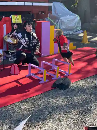 浅草神社の動物