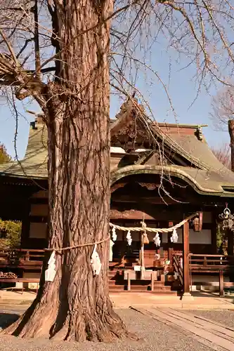 賀羅加波神社(広島県)