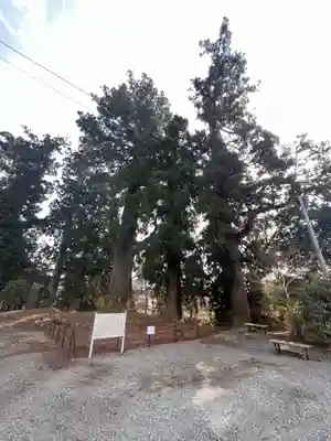 村山浅間神社(静岡県)
