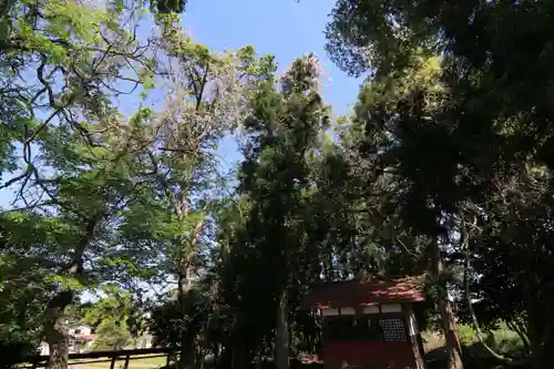 藤稲荷神社の庭園