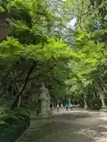 香取神宮(千葉県)