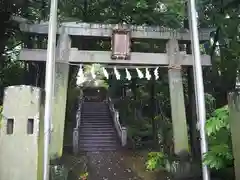 氷川神社の鳥居