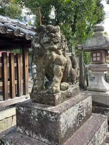 猿田彦神社の狛犬