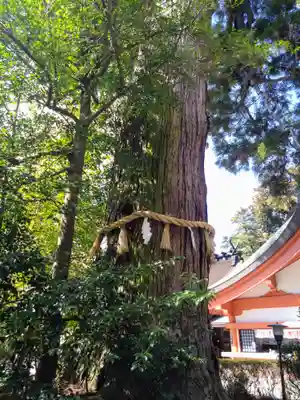 香取神宮(千葉県)