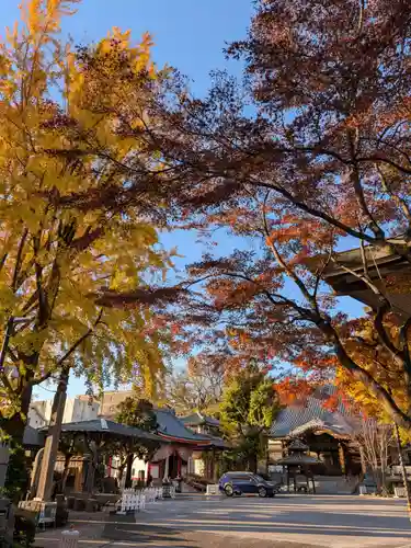 成願寺(東京都)