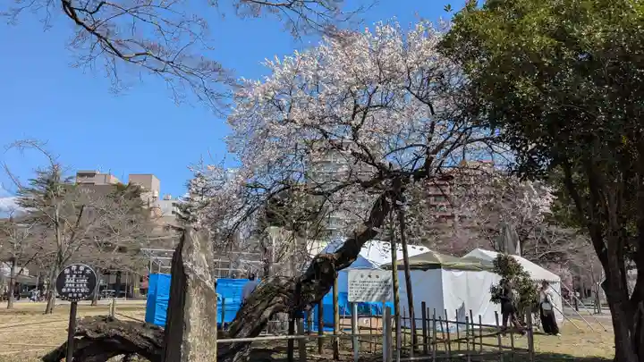 櫻岡大神宮の自然