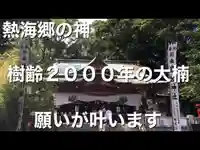 來宮神社(静岡県)