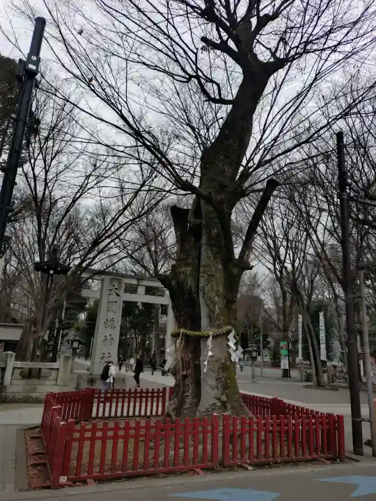 大國魂神社の{uncategorized: "未分類", other: "その他", undefined: "問題あり", building: "その他建物", grave: "お墓", sacred_gate: "鳥居", guardian: "狛犬", statue: "像", buddha: "仏像", history: "歴史", nature: "自然", garden: "庭園", animal: "動物", pagoda: "塔", temizu: "手水舎", mountain_gate: "山門・神門", sanctuary: "本殿・本堂", subordinate: "末社・摂社", art: "芸術", scenery: "景色", jizo: "地蔵", ema: "絵馬", goshuin: "御朱印", omikuji: "おみくじ", items: "授与品その他", amulet: "お守り", goshuincho: "御朱印帳", eats: "食事", festival: "お祭り", votive_dance: "神楽", shichigosan: "七五三参", wedding: "結婚式", experience: "体験その他", initially: "初詣", around: "周辺", anti_infection: "感染症対策"}