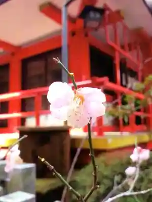 三田春日神社(東京都)
