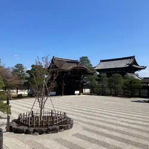 仁和寺の庭園