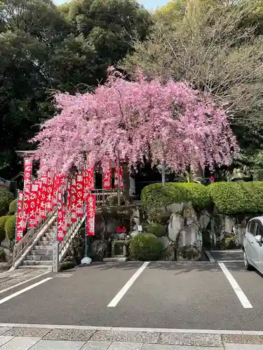 法持寺(愛知県)