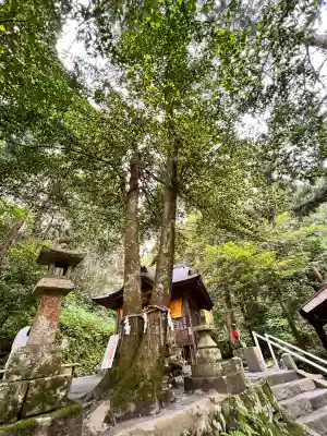 金持神社の{uncategorized: "未分類", other: "その他", undefined: "問題あり", building: "その他建物", grave: "お墓", sacred_gate: "鳥居", guardian: "狛犬", statue: "像", buddha: "仏像", history: "歴史", nature: "自然", garden: "庭園", animal: "動物", pagoda: "塔", temizu: "手水舎", mountain_gate: "山門・神門", sanctuary: "本殿・本堂", subordinate: "末社・摂社", art: "芸術", scenery: "景色", jizo: "地蔵", ema: "絵馬", goshuin: "御朱印", omikuji: "おみくじ", items: "授与品その他", amulet: "お守り", goshuincho: "御朱印帳", eats: "食事", festival: "お祭り", votive_dance: "神楽", shichigosan: "七五三参", wedding: "結婚式", experience: "体験その他", initially: "初詣", around: "周辺", anti_infection: "感染症対策"}
